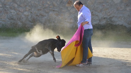 Exclusive bull experiences, be a bullfighter for a day