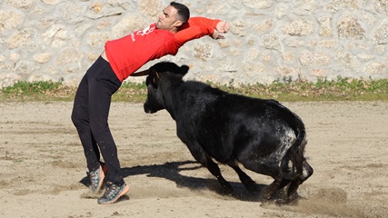 Private events bull leapers