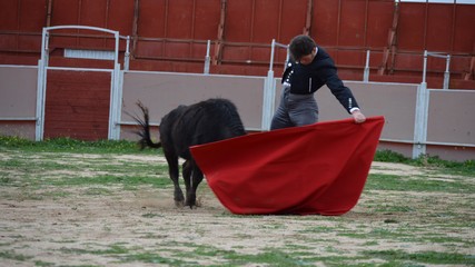 Bullfighting event in Madrid at CampoToro ranch.