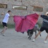 CampoToro Capea